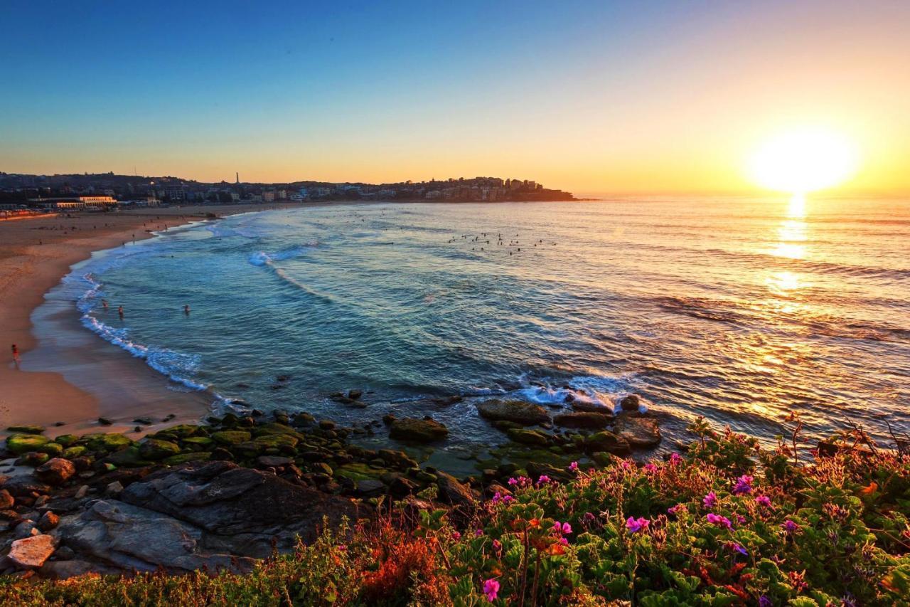 Newlife Serviced Apartments Bondi Junction Sydney Eksteriør bilde